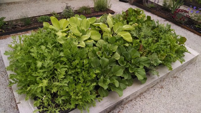 IMG_20140612_143942526