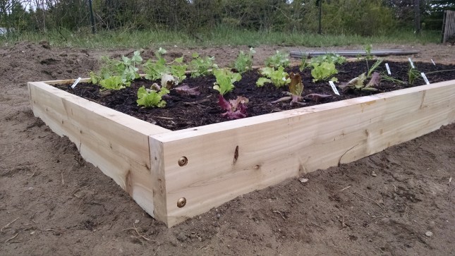 IMG_20150521_130030128