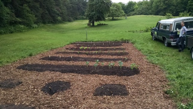 IMG_20150630_114032948